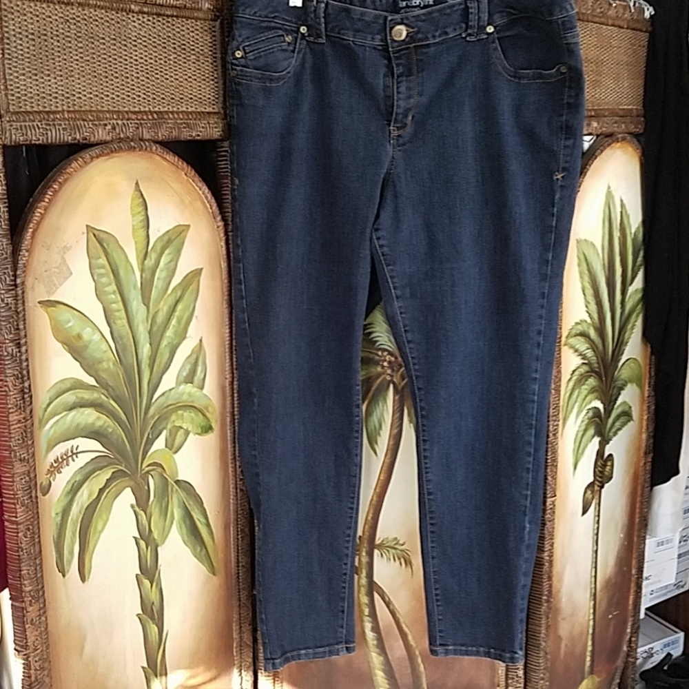 Lane Bryant Jeggings
